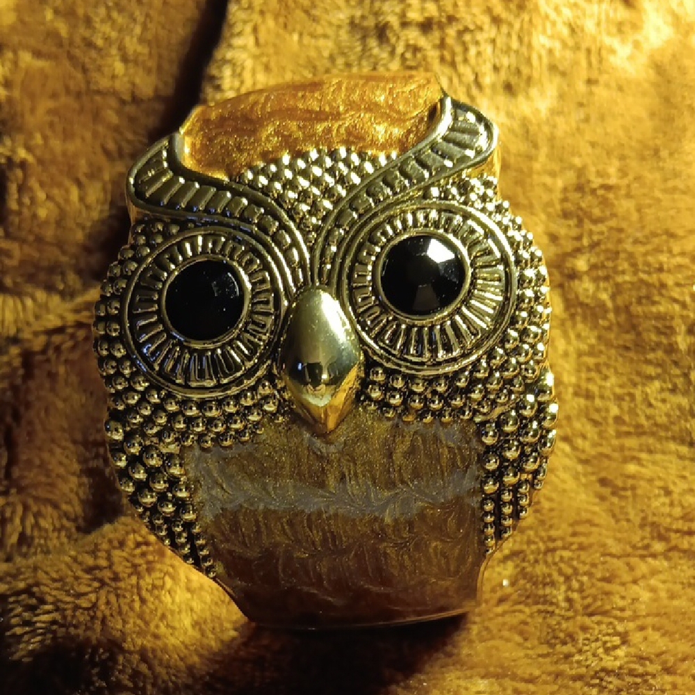 Gold and Silver Owl Ring